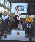 Чемпион и призеры в классе стандарт - Стэси Гоуди с бордер-колли Сикрет, Анастасия Рудикова с метисом Юта и Надежда Карпушина с рет-ривером Виктория, фото Сергей Алейников