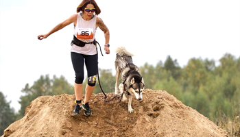 В Раменском состоялся экстремальный каникросс «Russian extreme dog trail»